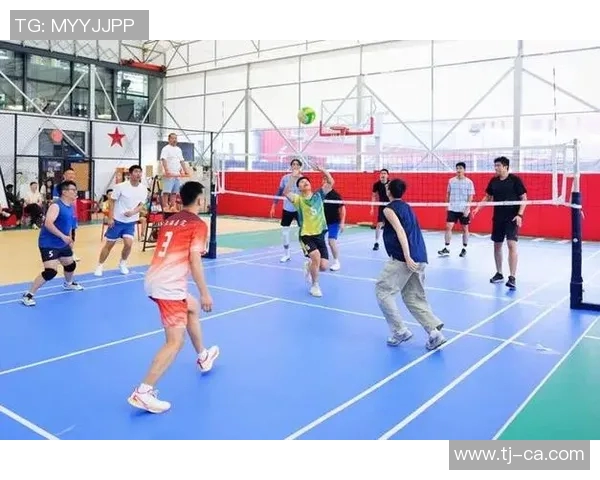 上海排球队技术争议引发热议球迷与专家各抒己见探讨战术与表现 上海排球队技术争议引发热议球迷与专家各抒己见探讨战术与表现