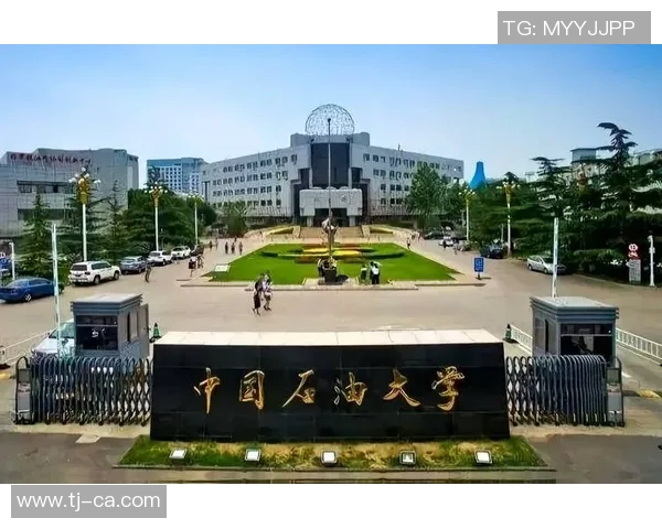 北京乒乓球队逆袭之路揭秘:从低谷到冠军的奋斗历程与荣耀时刻