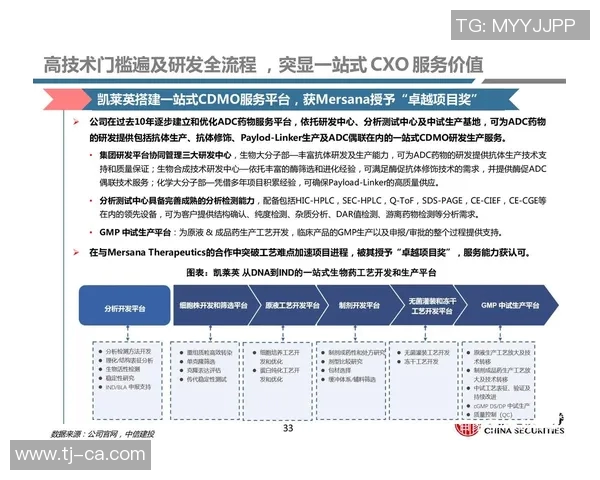 北京排球队技术分析与战术创新的深度探讨与展望