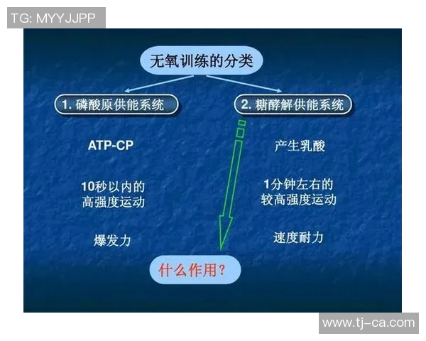 北京羽毛球队反击战术解析与实战应用探讨