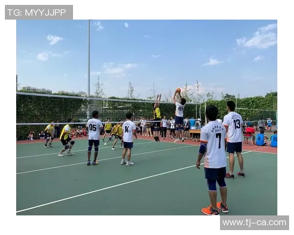 广州排球队战术创新引领潮流排球战术排名再创佳绩