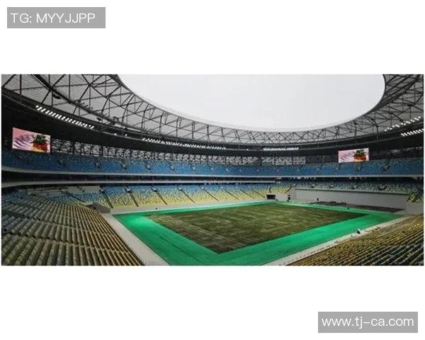 成都乒乓球队的节奏与战术分析探索乒乓球运动的未来发展方向