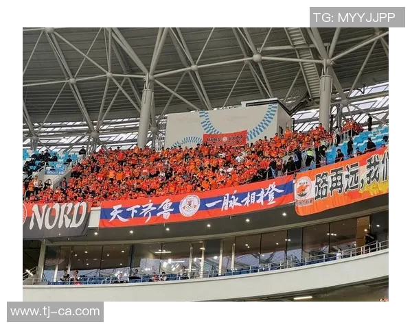 成都羽毛球队的比赛经验分享与成长之路探讨