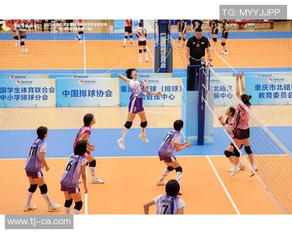 武汉排球队在世界锦标赛中的灵活性表现及其战术分析