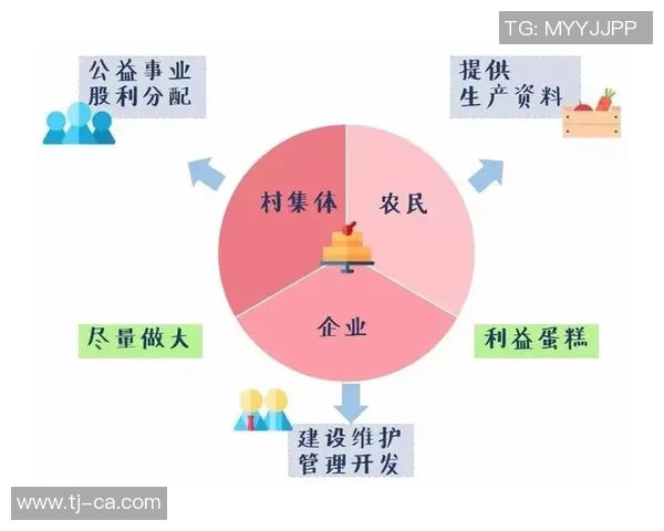 武汉排球队节奏对比分析揭示战术变化与球队表现的深层关系 武汉排球队节奏对比分析揭示战术变化与球队表现的深层关系