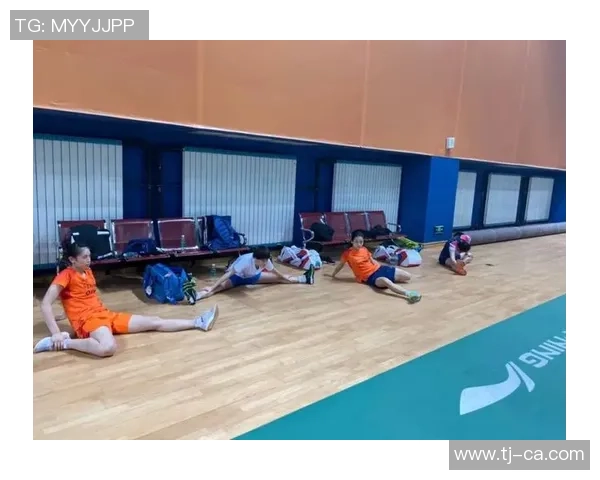 武汉羽毛球队与南京羽毛球队赛后战术分析与复盘探讨