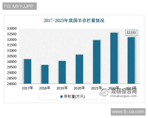 武汉羽毛球队实力分析与发展前景的深度探讨与展望