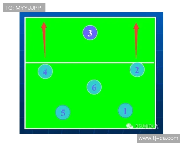 深入分析广州网球队的节奏打法与战术优势探讨