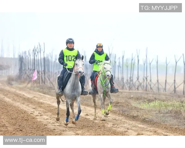 西安乒乓球队耐力创新高引发全国关注与热议