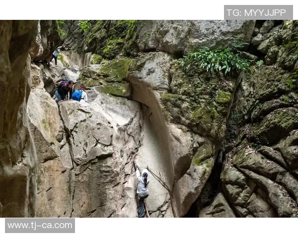 李伟独家:分享攀岩心得 李伟独家:分享攀岩心得
