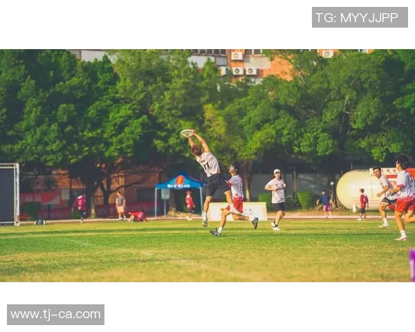 飞盘战术：重庆飞盘队的反击体系