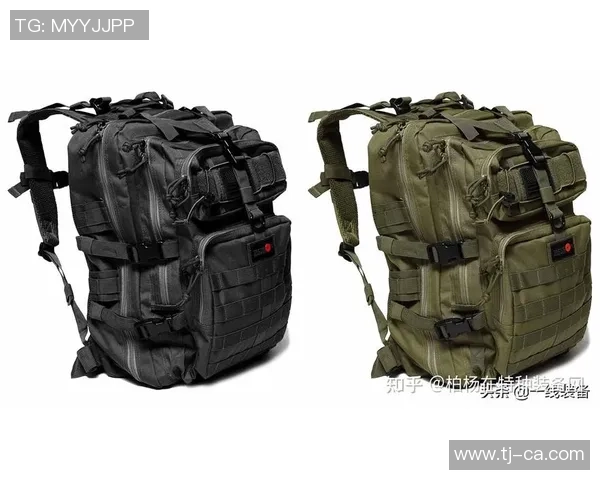 2026CS_GO战术排行榜：BLG位居第1名