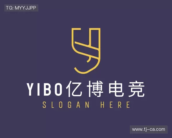 介绍YIBO亿博电竞