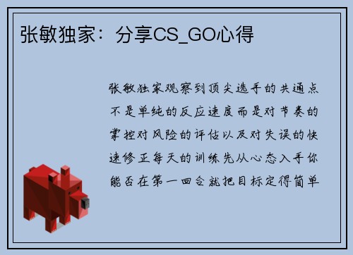 张敏独家：分享CS_GO心得